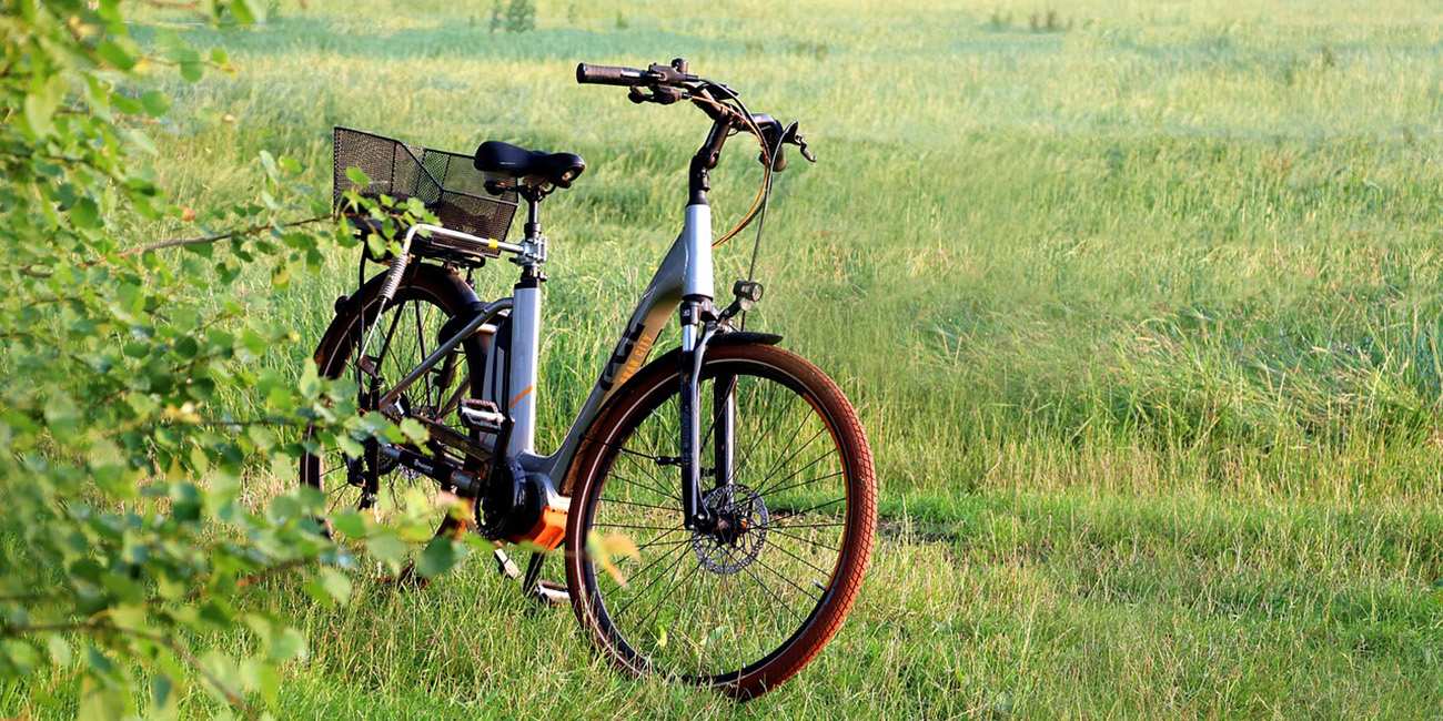 Why are electric bikes so popular in Ireland?