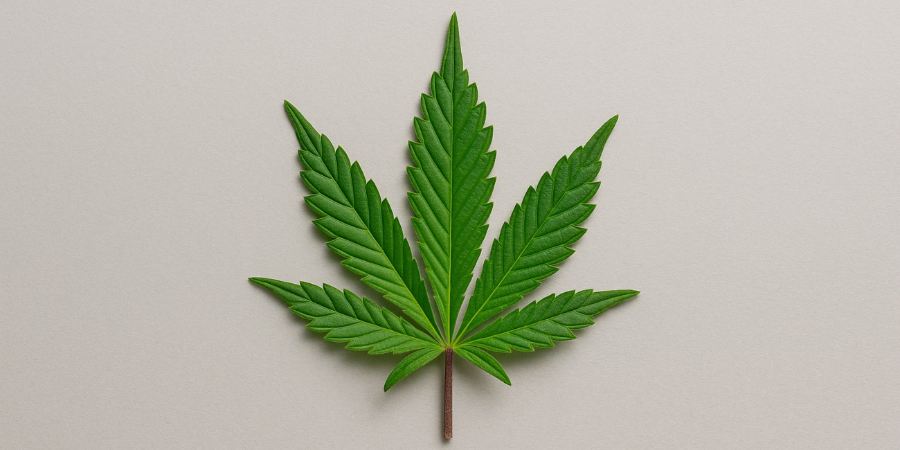 Exploring the benefits of strains gushers for relaxation