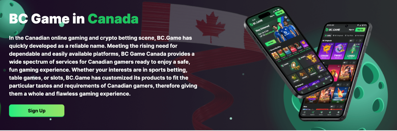 Discover the Thrills of Online Gaming with BC.Game